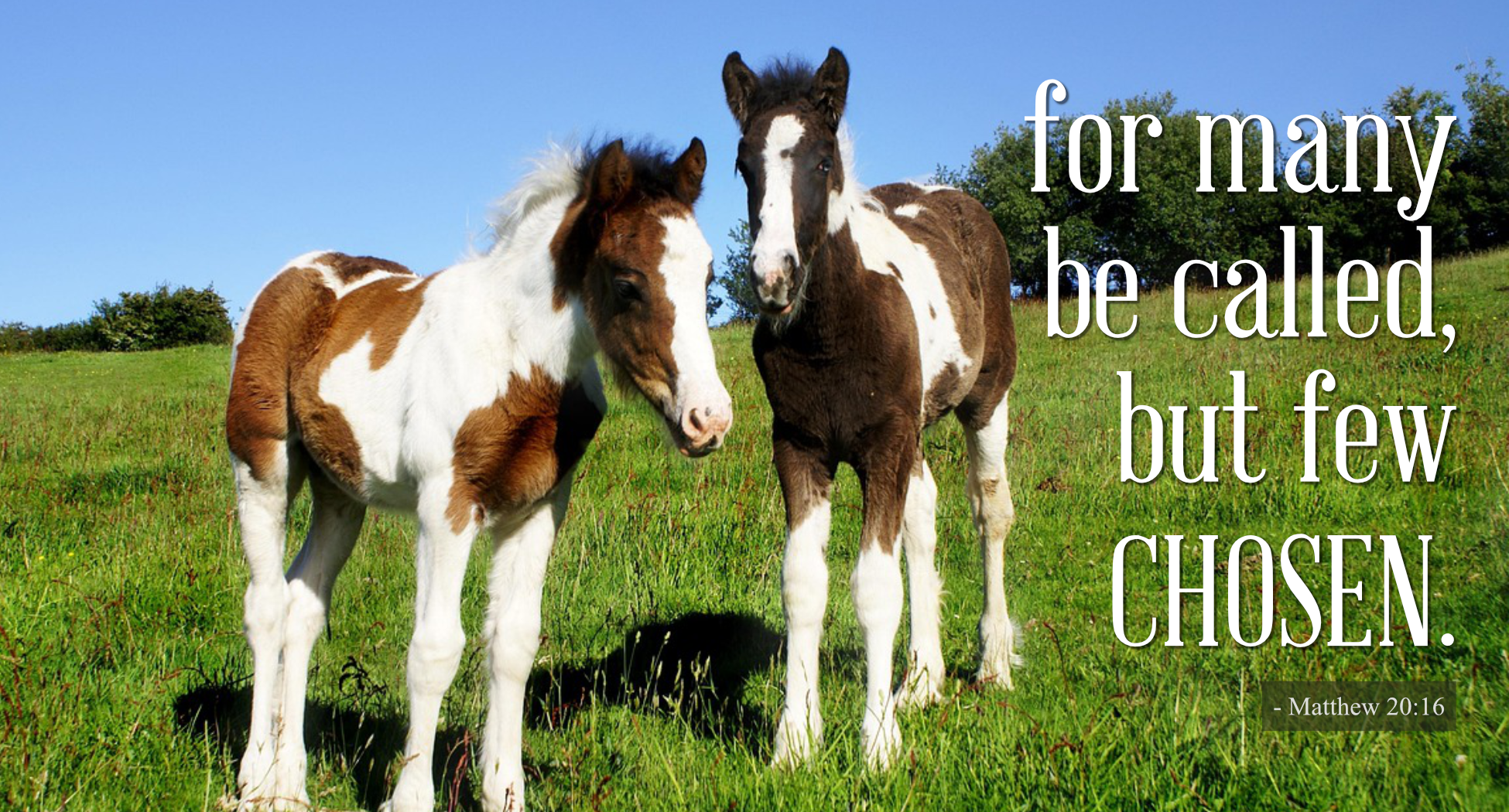 Two Colts & Discipline – Kairos Ministries
